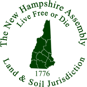 The New Hampshire Assembly